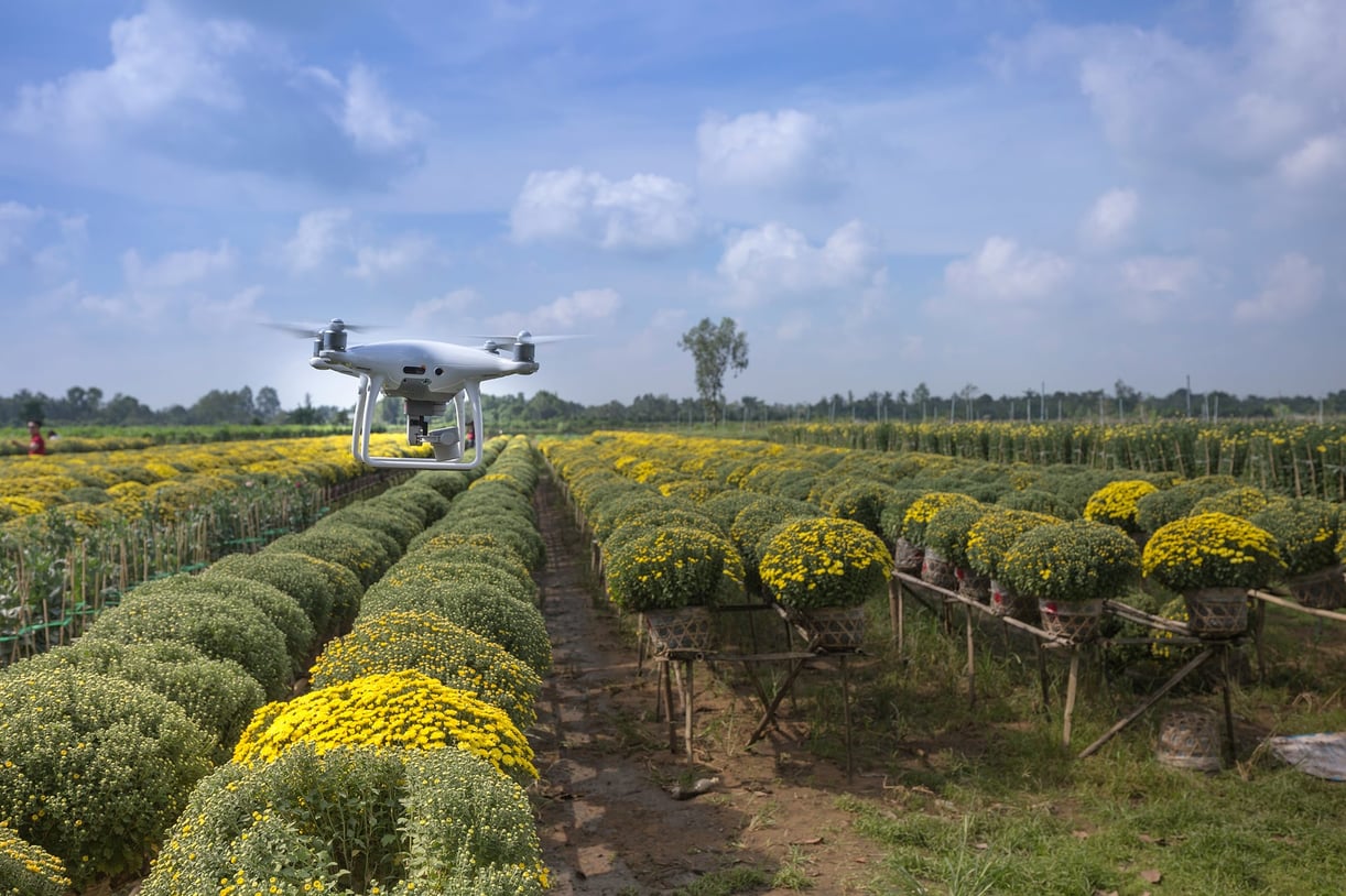 ai for the green