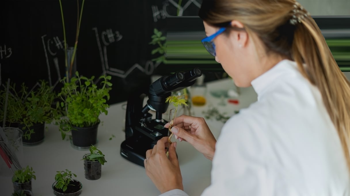 Syngenta_Scientist doing research on plants By StockRocketStudio_2_envato