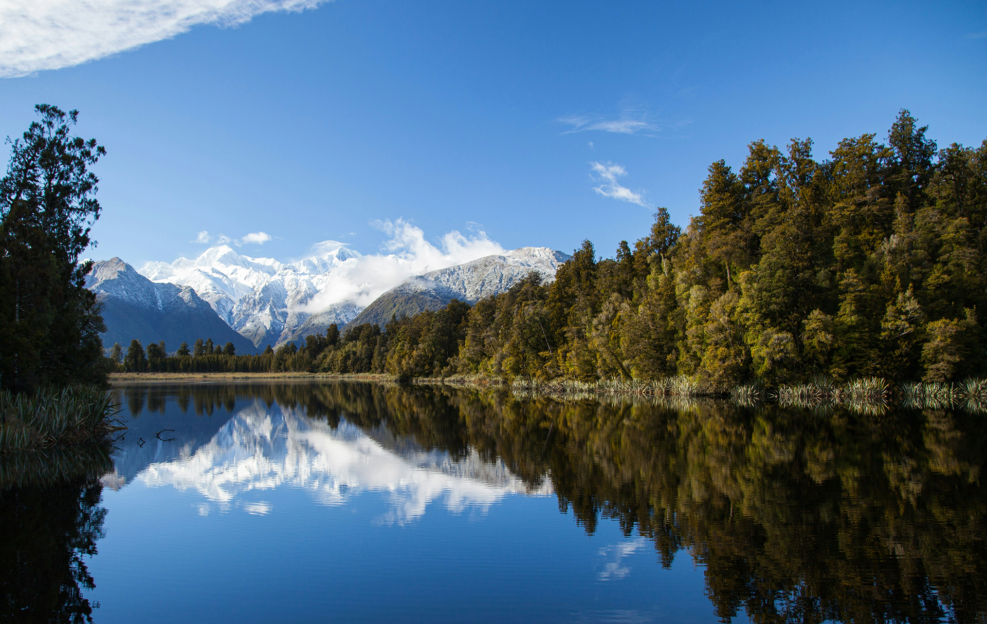 Reflection in nature